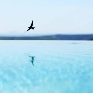 Hotel Stefanija Small Boutique Hotel&restaurant